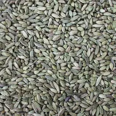 Cardamom Whole Green Pods